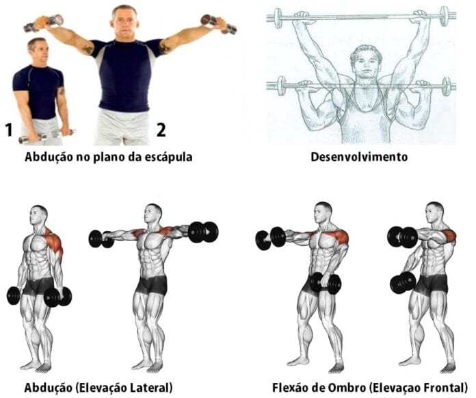 Treino De Ombros Conhe A Os Melhores Exerc Cios Para O Ombros