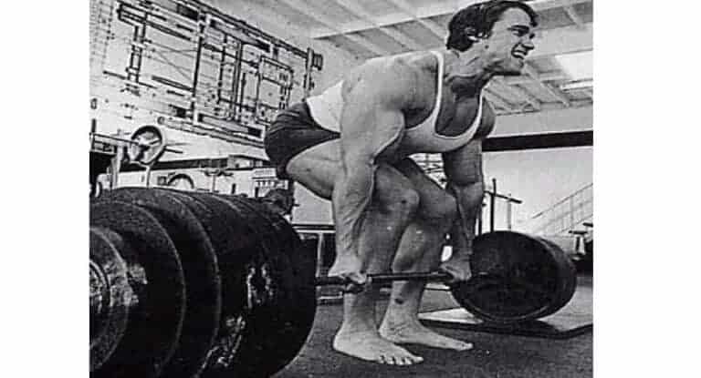 Treino De Costas Do Arnold Schwarzenegger Avan Ado