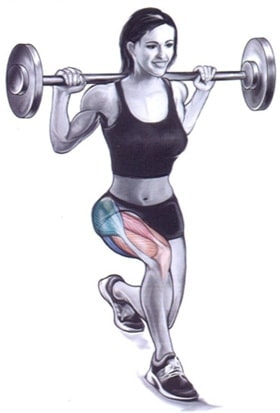 Agachamento com a barra entre as pernas, Catálogo de Exercícios