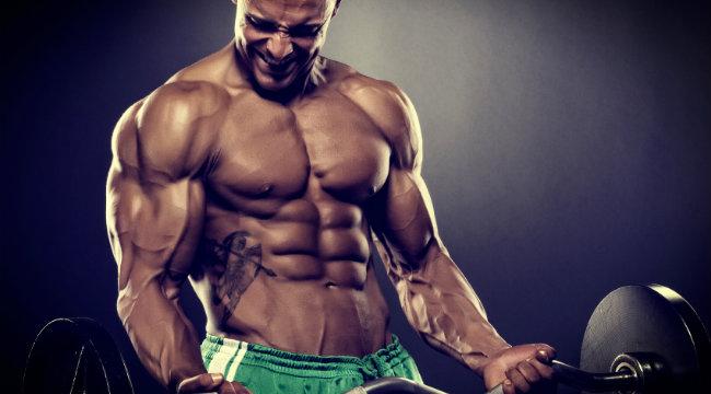 23 ideias de Bíceps  treinos de musculação, rotinas de treino, bíceps