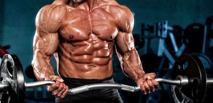 8 ideias de Treino Biceps  bíceps, treino, treino de bíceps