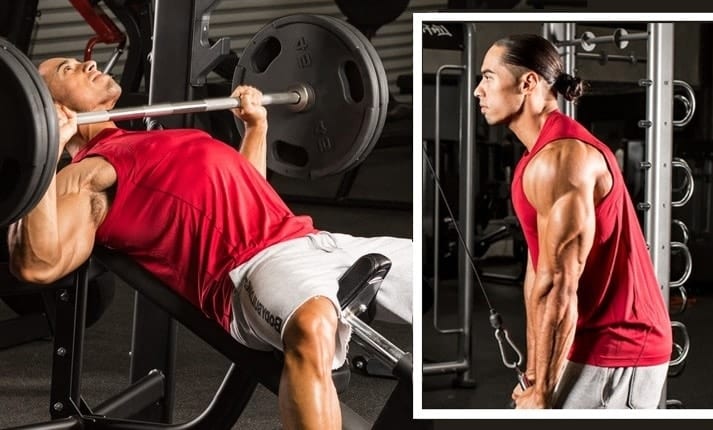 Treino costas e biceps, Treino de peito e tríceps, Exercícios de