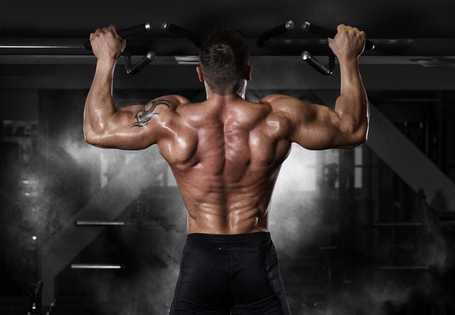 Treino costas e biceps, Treino de peito e tríceps, Exercícios de musculação